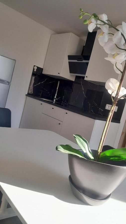 Apartma Ana Κόπερ Εξωτερικό φωτογραφία
